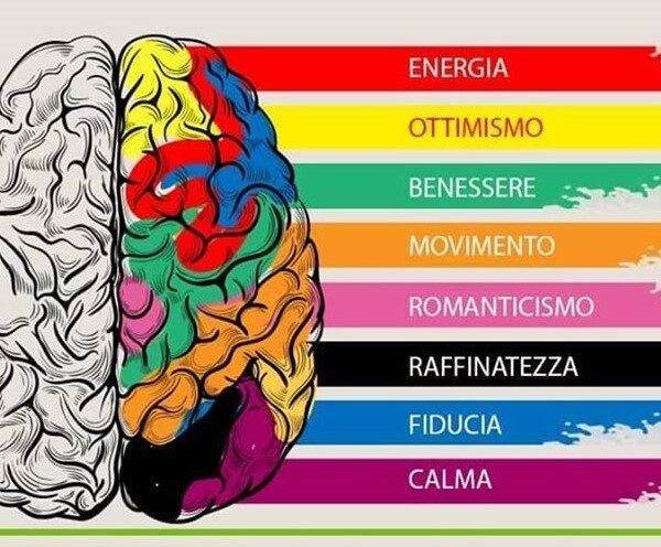 La semantica dei colori: una spiegazione al caso Barilla