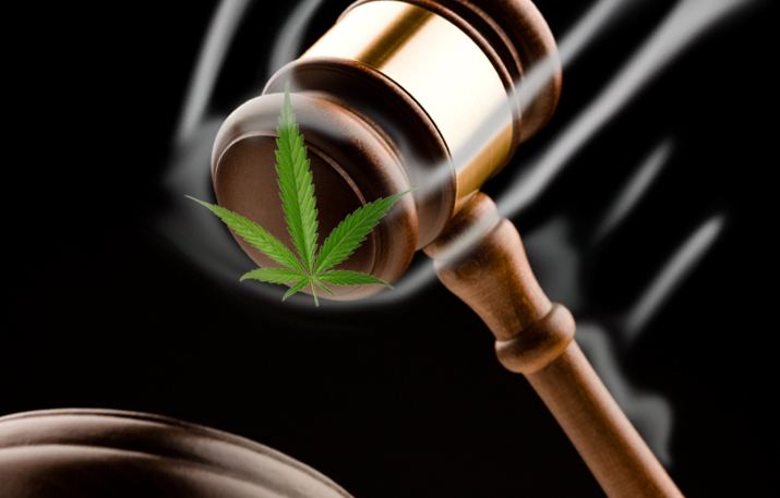 Una questione di catene: riflessioni sulla criminalizzazione (e legalizzazione) della cannabis