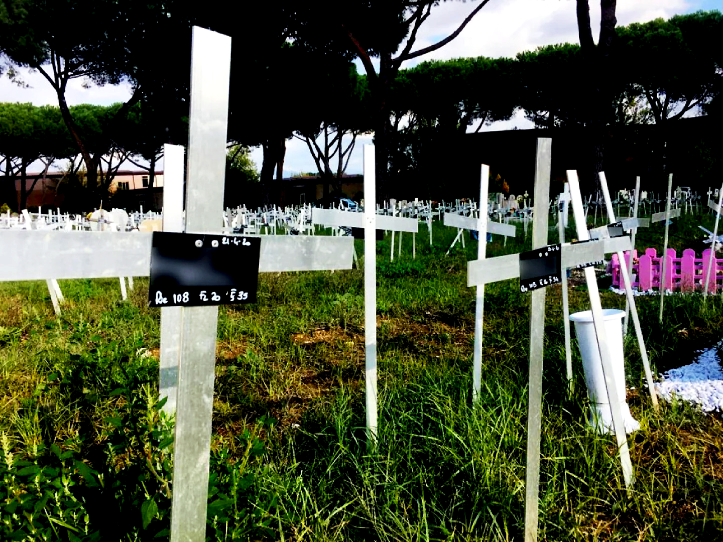Cimitero dei feti, il GPDP sanziona Roma Capitale: illecita la diffusione dei nomi delle donne
